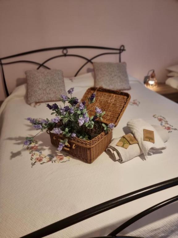 Appartamento Mary House @ Sondrio Esterno foto